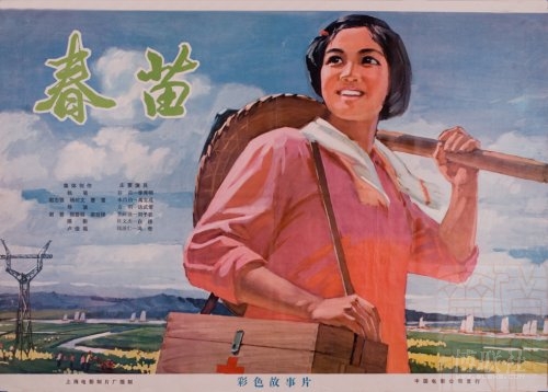 伍斯特大学 Business degree certificate